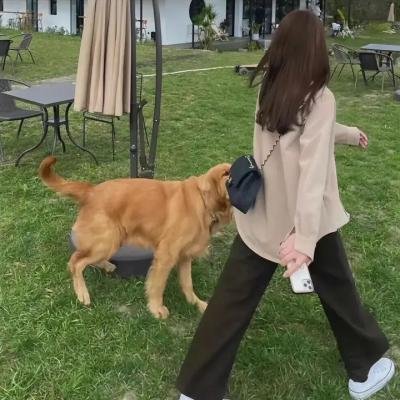 小脚板走天涯8